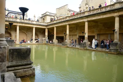 DSC_2651 (Large).JPG